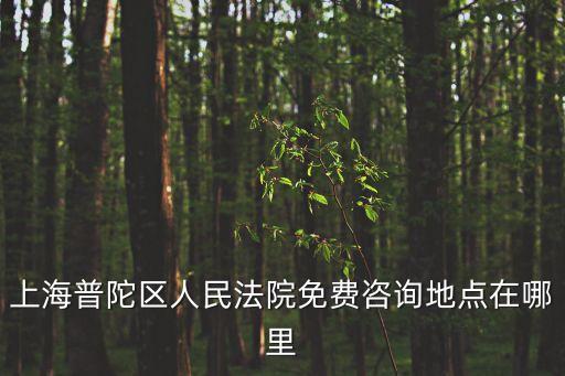 上海普陀區(qū)人民法院免費咨詢地點在哪里