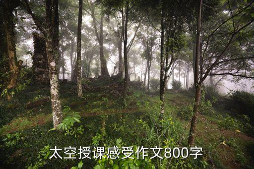 太空授課感受作文800字
