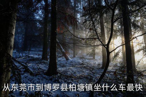從東莞市到博羅縣柏塘鎮坐什么車最快