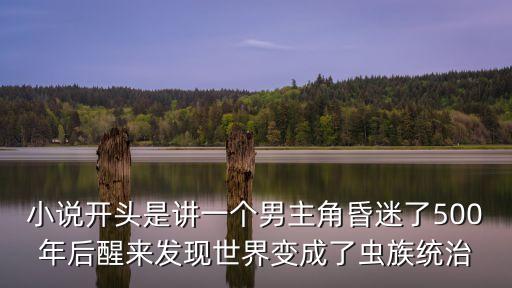小說開頭是講一個男主角昏迷了500年后醒來發現世界變成了蟲族統治
