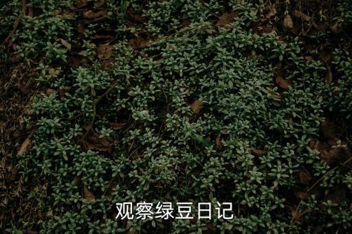 觀察綠豆日記