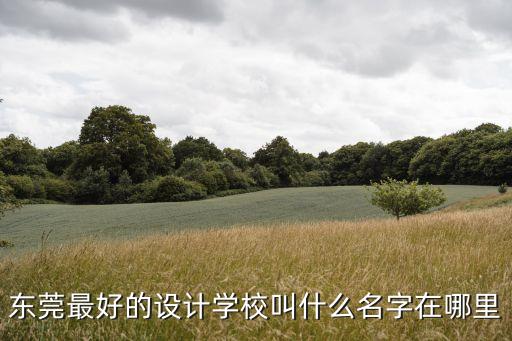東莞最好的設計學校叫什么名字在哪里