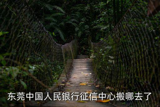 東莞信用信息公示平臺，東莞中國人民銀行征信中心搬哪去了