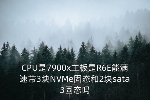CPU是7900x主板是R6E能滿速帶3塊NVMe固態和2塊sata3固態嗎