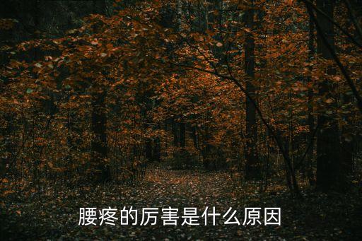 腰疼的厲害是什么原因