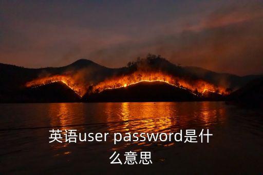 用戶的英文，USER是什么意思