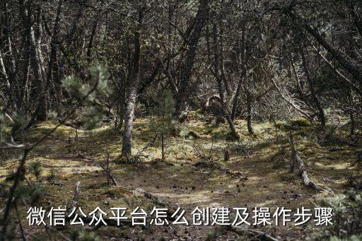 微信公眾號怎么創(chuàng)建，如何建立微信公眾號