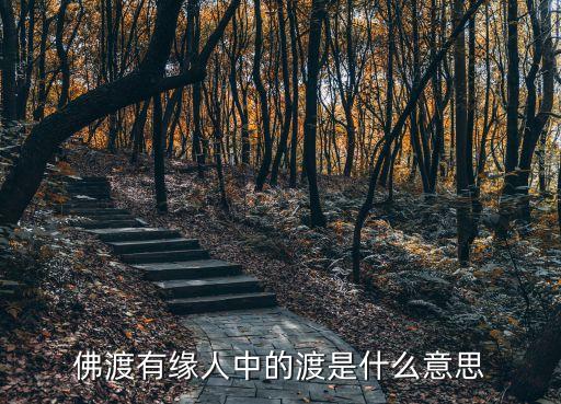 佛渡有緣人中的渡是什么意思