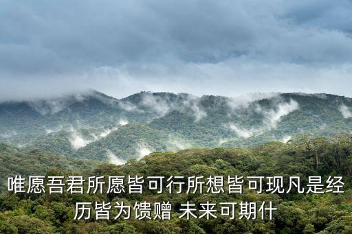 未來可期下一句，唯愿吾君所愿皆可行所想皆可現(xiàn)凡是經(jīng)歷皆為饋贈(zèng) 未來可期什
