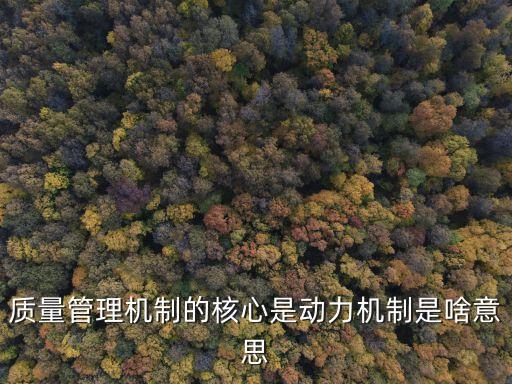 質量管理機制的核心是動力機制是啥意思