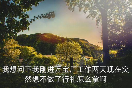 我想問下我剛進萬寶廠工作兩天現在突然想不做了行禮怎么拿啊