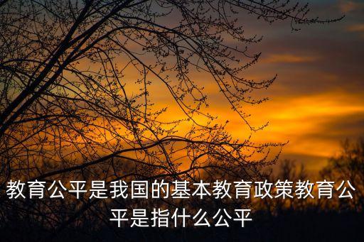 教育公平是我國的基本教育政策教育公平是指什么公平