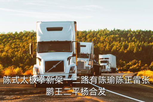陳式太極拳新架一二路有陳瑜陳正雷張鵬王二平楊合發