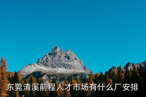 東莞巨展實業(yè)有限公司招聘，東莞清溪前程人才市場有什么廠安排