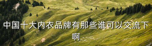 中國時尚內(nèi)衣，中國十大內(nèi)衣品牌有那些誰可以交流下啊