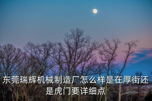 東莞瑞輝機械制造廠怎么樣是在厚街還是虎門要詳細點