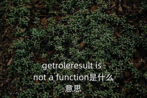 getroleresult is not a function是什么意思
