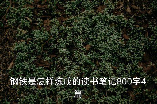 鋼鐵是怎樣煉成的讀書筆記800字4篇