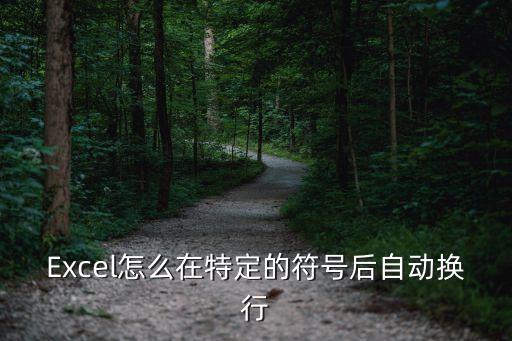 Excel怎么在特定的符號(hào)后自動(dòng)換行
