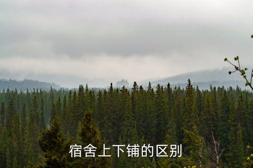 宿舍上下鋪的區(qū)別