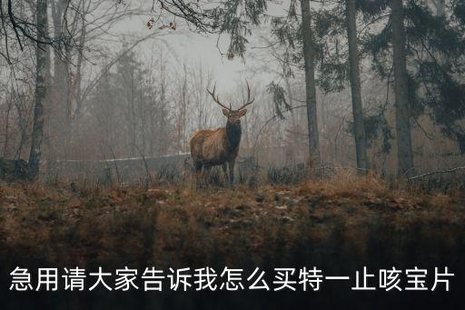 急用請大家告訴我怎么買特一止咳寶片