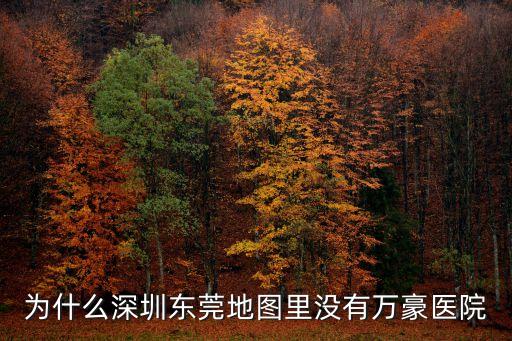 為什么深圳東莞地圖里沒有萬豪醫(yī)院
