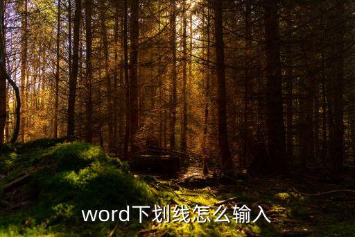 word下劃線怎么輸入