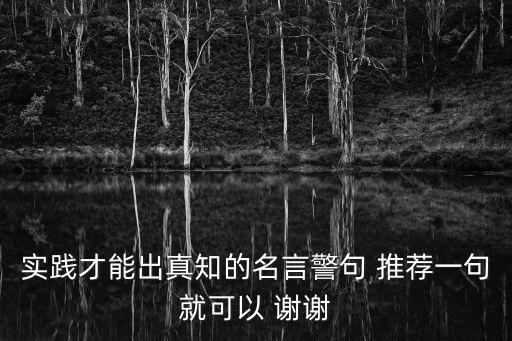 實踐才能出真知的名言警句 推薦一句就可以 謝謝