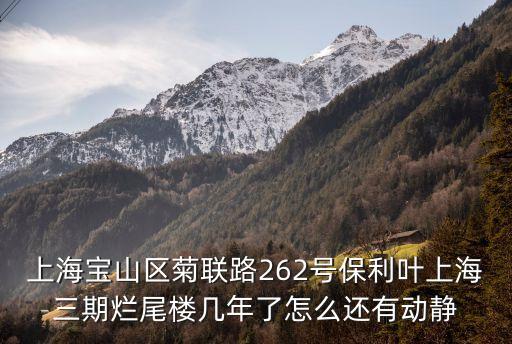 上海市所有爛尾樓，上海市黃浦區爛尾樓