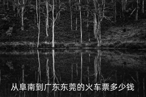 從阜南到廣東東莞的火車票多少錢