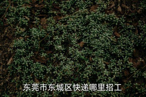 東莞外送員招聘網(wǎng)虎門，東莞市東城區(qū)快遞哪里招工