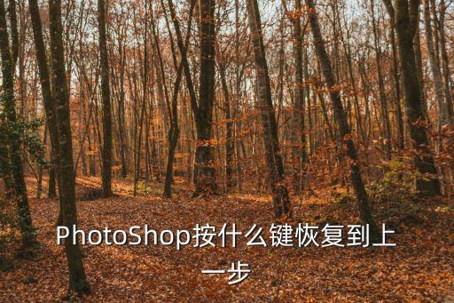 PhotoShop按什么鍵恢復到上一步
