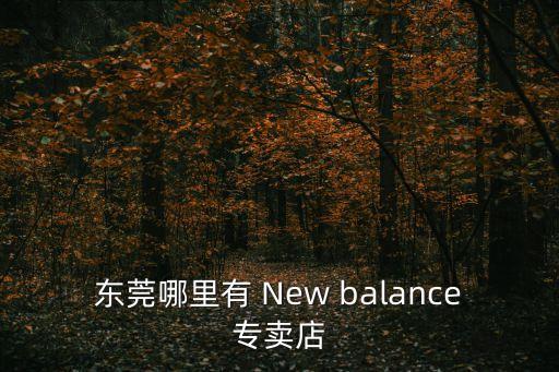 東莞哪里有 New balance專賣店