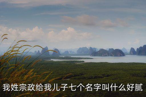 宗政，男主叫宗政什么的是個丞相