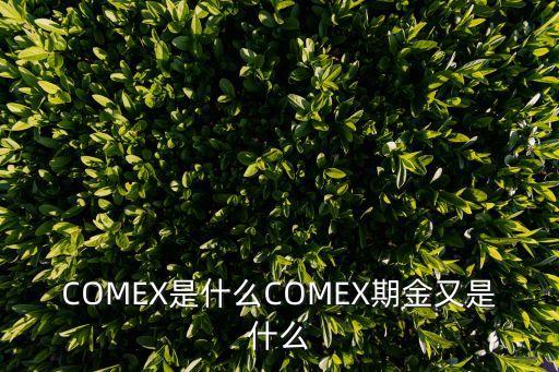 黃金comex，COMEX黃金是只的什么