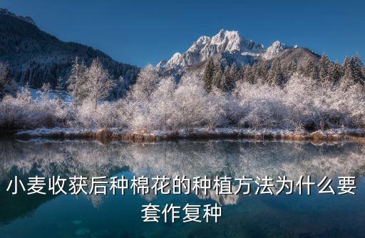 棉花怎么種，小麥收獲后種棉花的種植方法為什么要套作復種