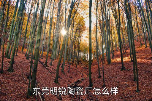 東莞明銳陶瓷廠怎么樣
