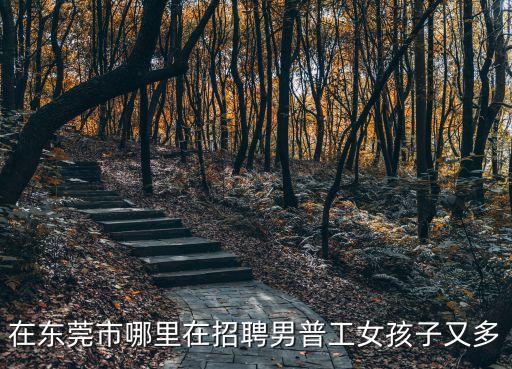 在東莞市哪里在招聘男普工女孩子又多