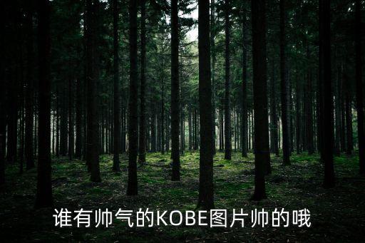 誰有帥氣的KOBE圖片帥的哦