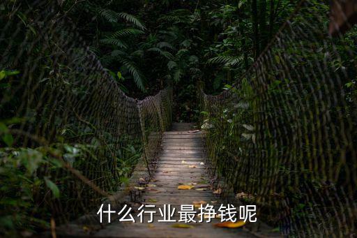 什么行業最掙錢呢