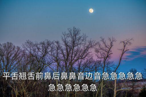 平舌翹舌前鼻后鼻鼻音邊音急急急急急急急急急急急