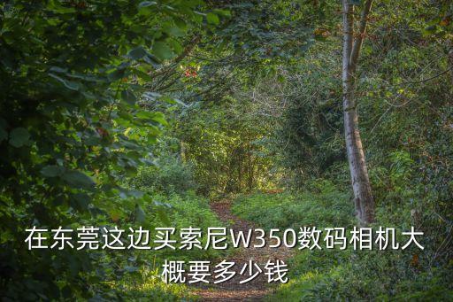 在東莞這邊買索尼W350數碼相機大概要多少錢