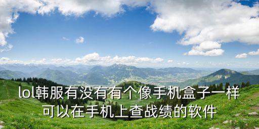 韓服戰(zhàn)績(jī)查詢，lol韓服有沒(méi)有有個(gè)像手機(jī)盒子一樣可以在手機(jī)上查戰(zhàn)績(jī)的軟件