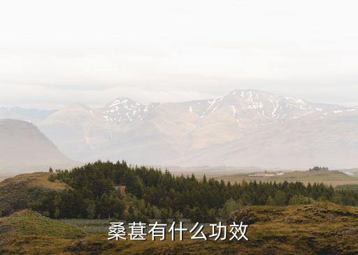 桑葚補什么，桑椹的功效