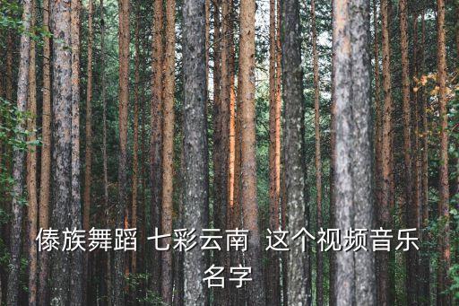 傣族舞蹈 七彩云南  這個視頻音樂名字