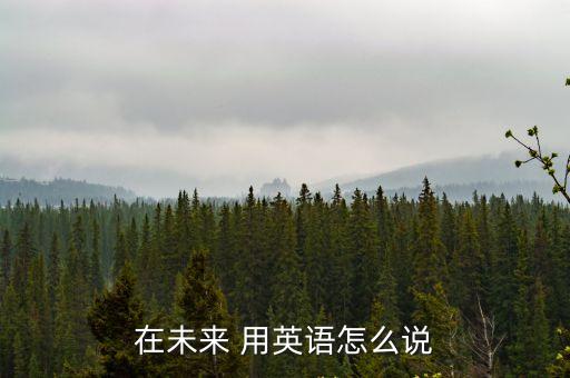 在未來(lái) 用英語(yǔ)怎么說(shuō)