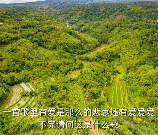一首歌里有愛是那么的悲哀還有愛愛愛不完請問這是什么歌