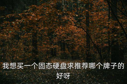 固態硬盤什么牌子好，什么牌子的固態硬盤好