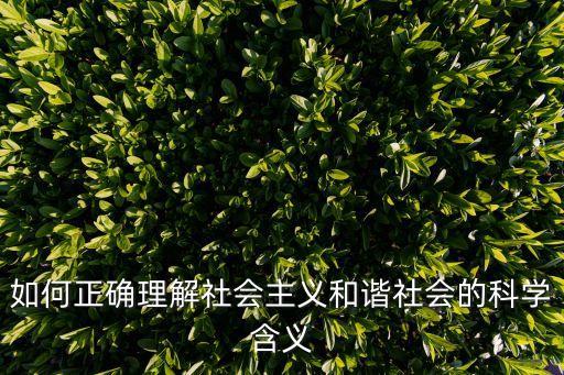 如何正確理解社會主義和諧社會的科學含義