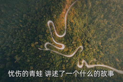 憂傷的青蛙 講述了一個什么的故事